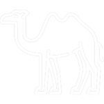 עלינו 5 camel